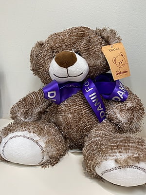 Classic DANII Brown Bear Plush Toy