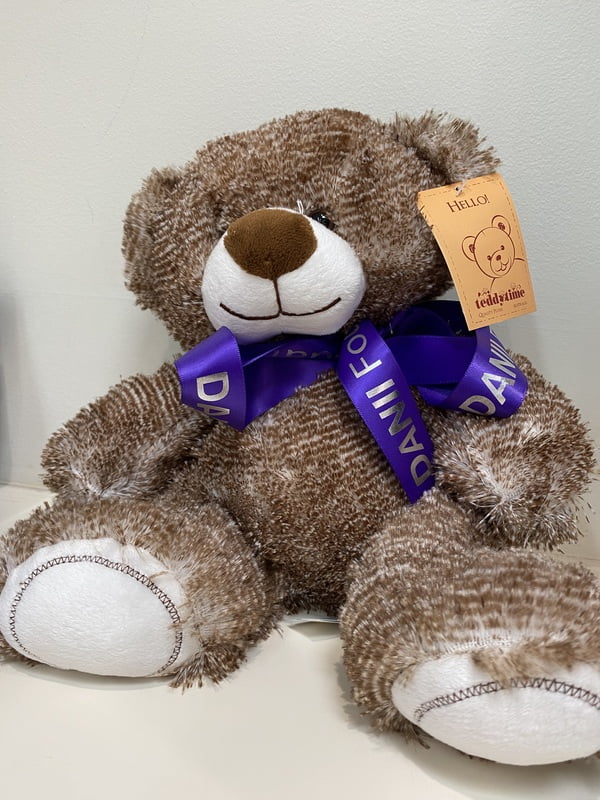 Classic DANII Brown Bear Plush Toy Classic DANII Brown Bear Plush Toy